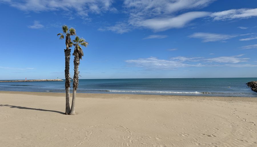 Time flies – Valencia Diary