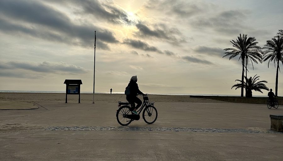Mein Bici – Valencia Diary